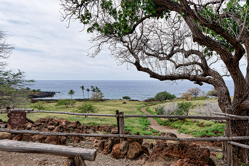 A place to sit down and admire the view