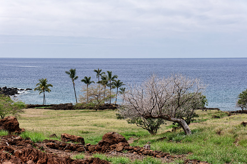 We had much more to see, so we didn't walk to the sea shore