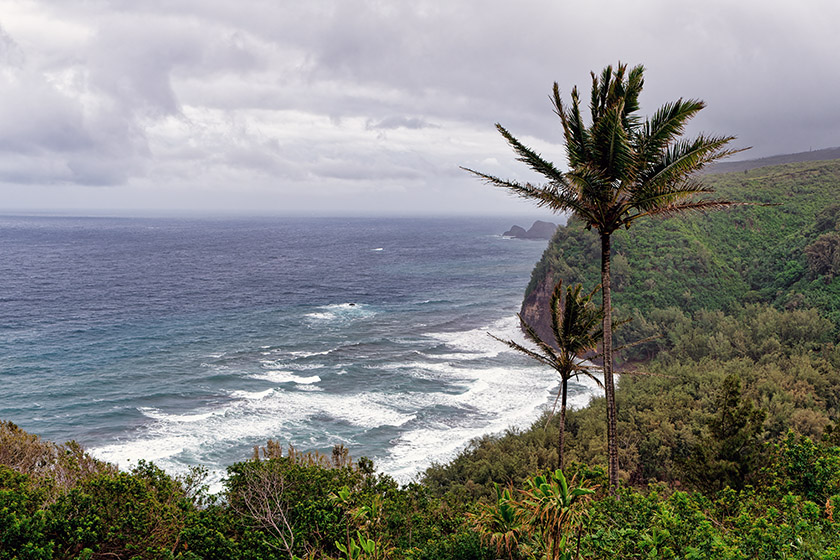 The view from the Pololū Valley Lookout