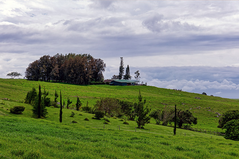 Landscapes like this looked more...