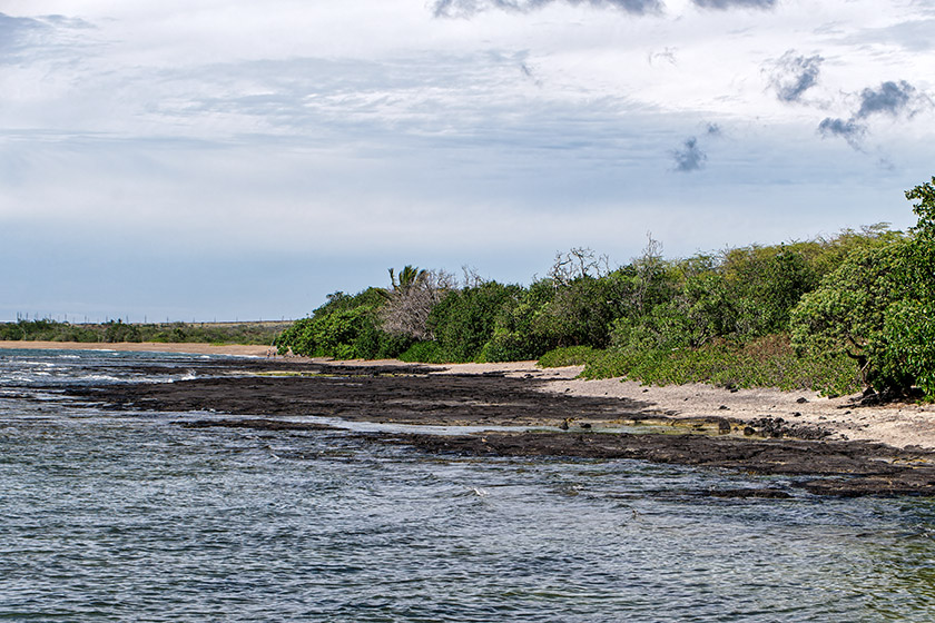 A sea turtle breeding ground, so people are asked to stay away