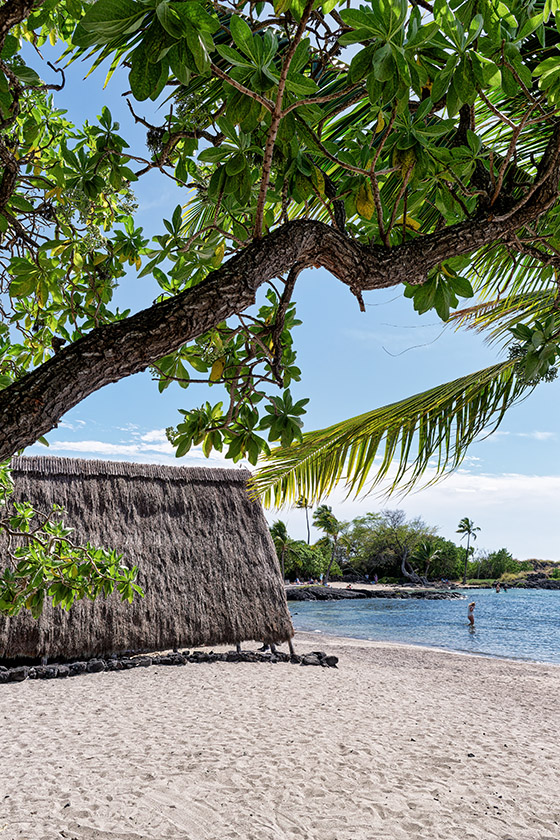 Reconstruction of an ancient beach shelter