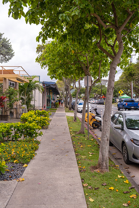 Downtown Kailua