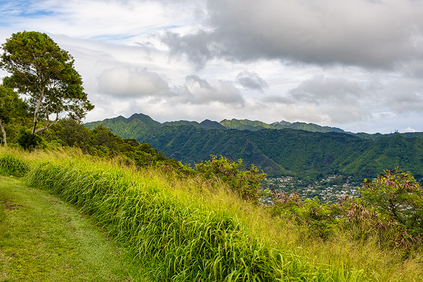 Looking north to the mountains