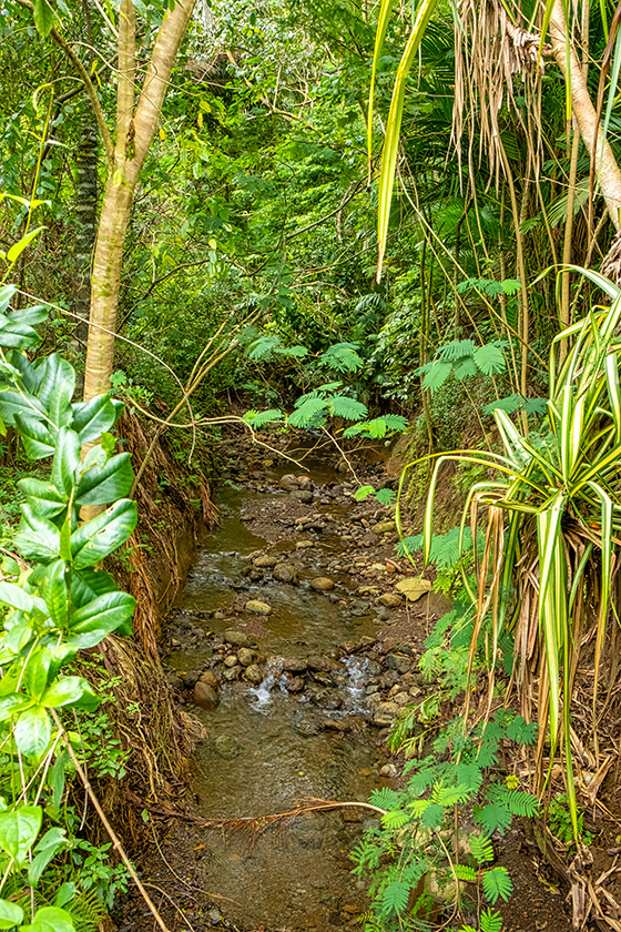 The Kuou stream runs though the garden