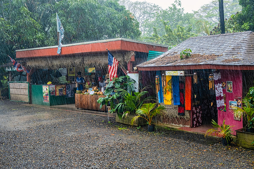 Looking out of Tropical Farms: it is pouring!