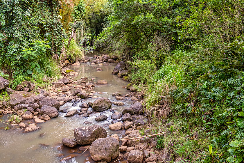 The Waimea River