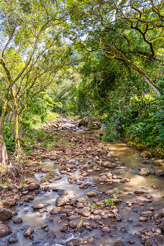 The Waimea River