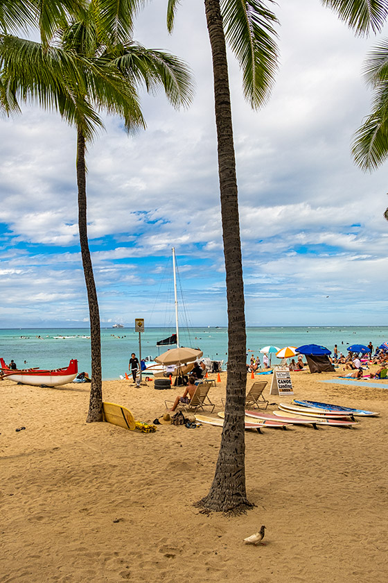 On Waikiki Beach