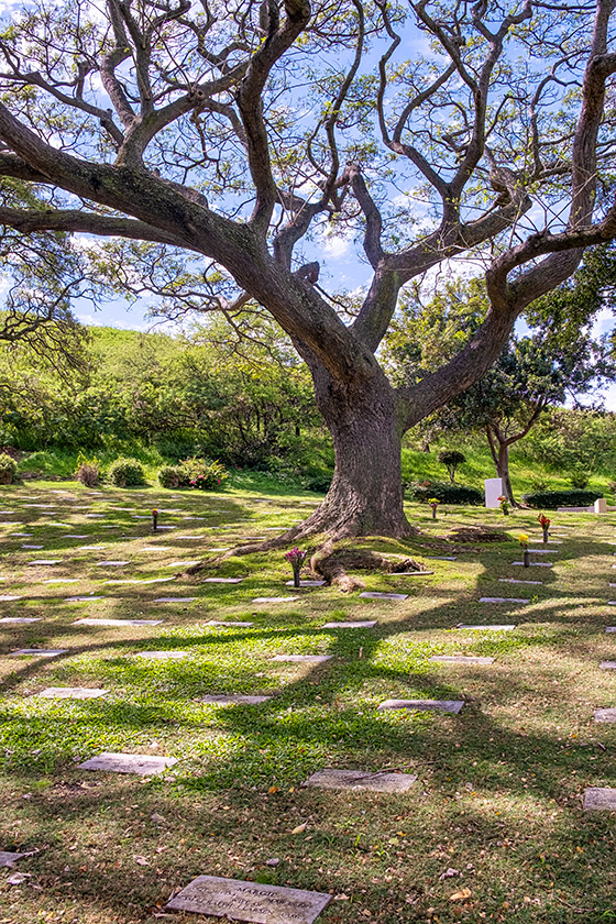 There are no upright gravestones here