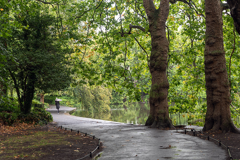 In St Stephen's Green