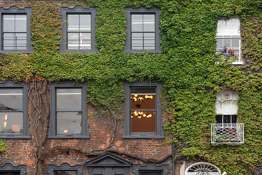 Ivy-covered façade at the edge of the park