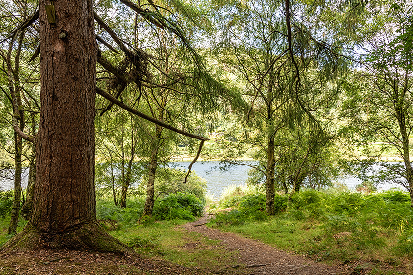 By the lower lake