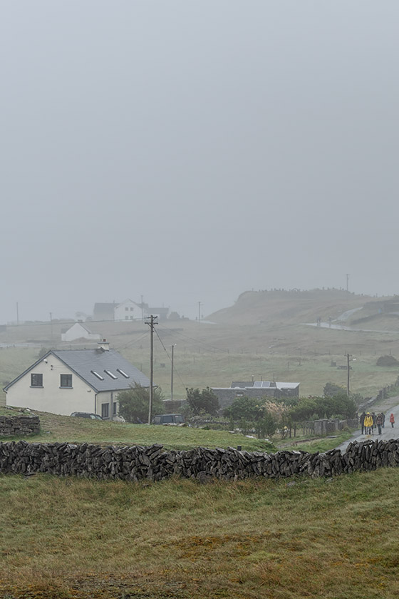 Misty landscape