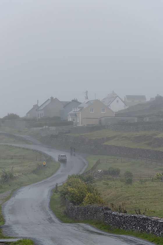 Road in the drizzle