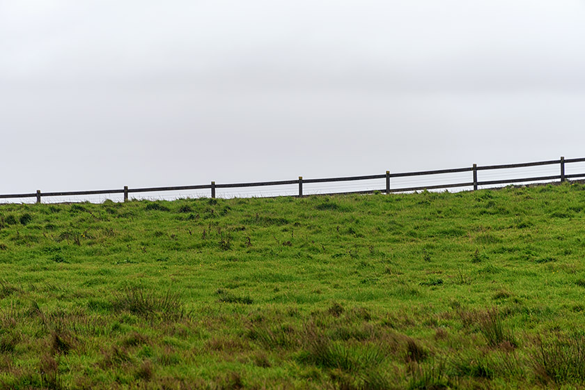 Going beyond the fence is definitely not recommended!