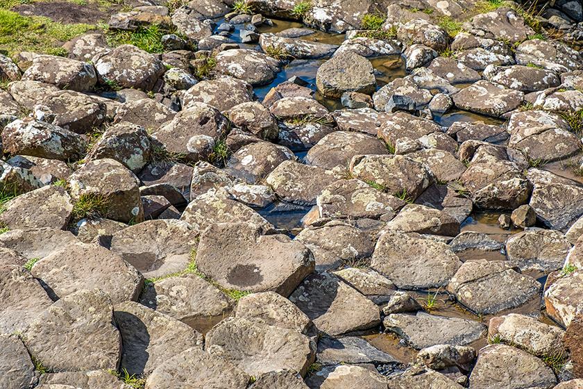 The Giant's Causeway