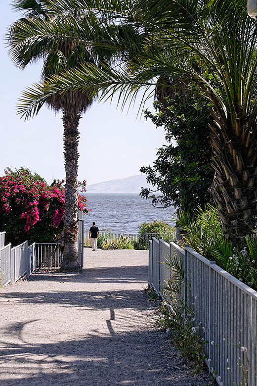 Looking towards the Sea of Galilee