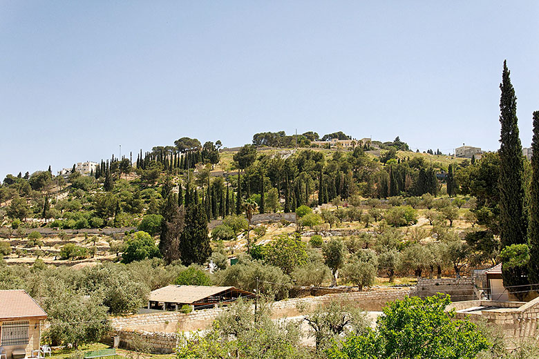 The Mount of Olives