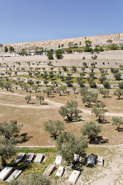 Looking from Gethsemane to Jerusalem