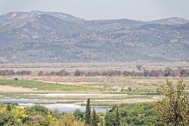 The view from the upper Agora into the plain