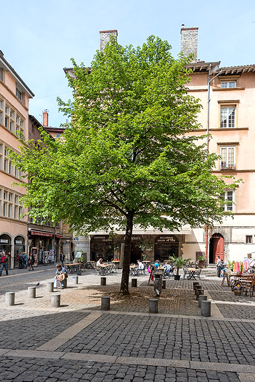 'Place du gouvernement'