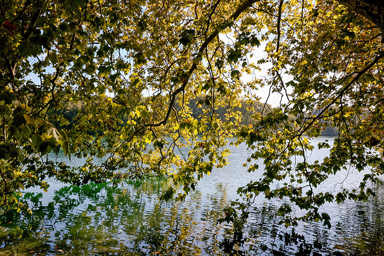 The lake at the center of the park