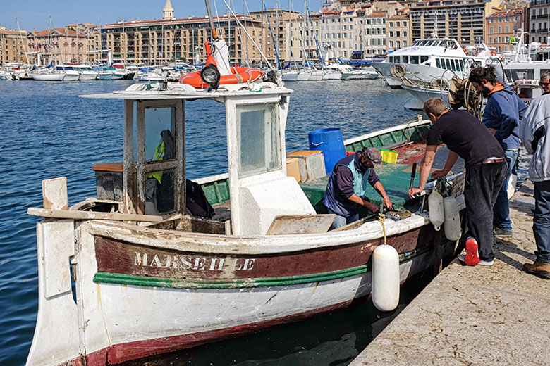 Cutting up the catch of the day