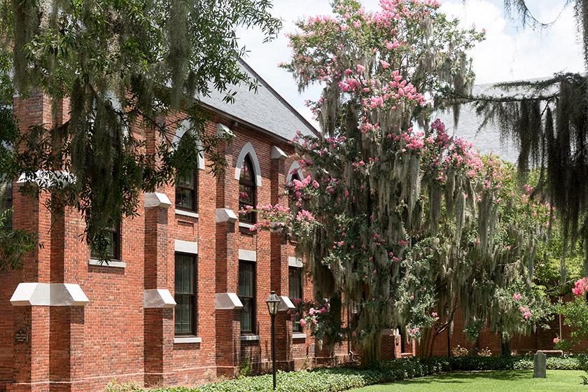 The gardens of Christ Church