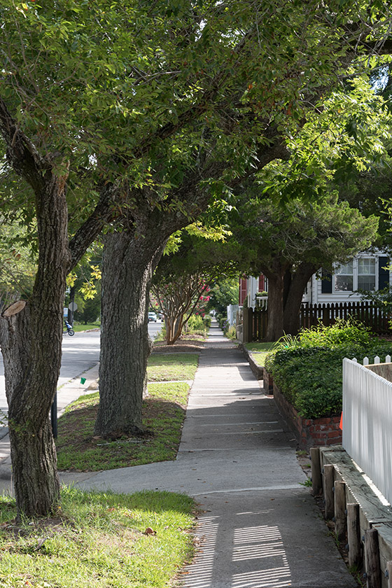 Strolling down Orange Street