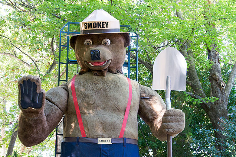 Giant smokey