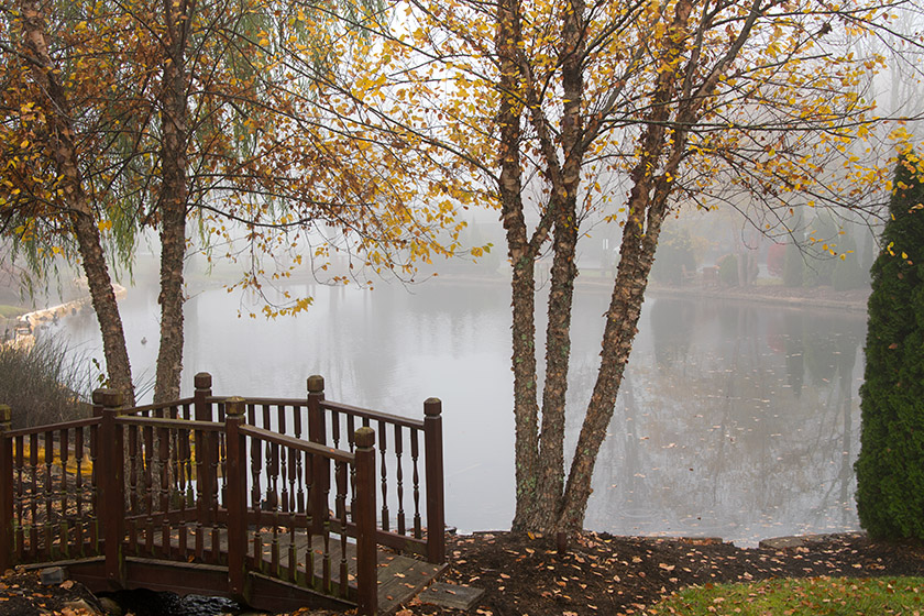 The pond in front of the Village Inn in the fog