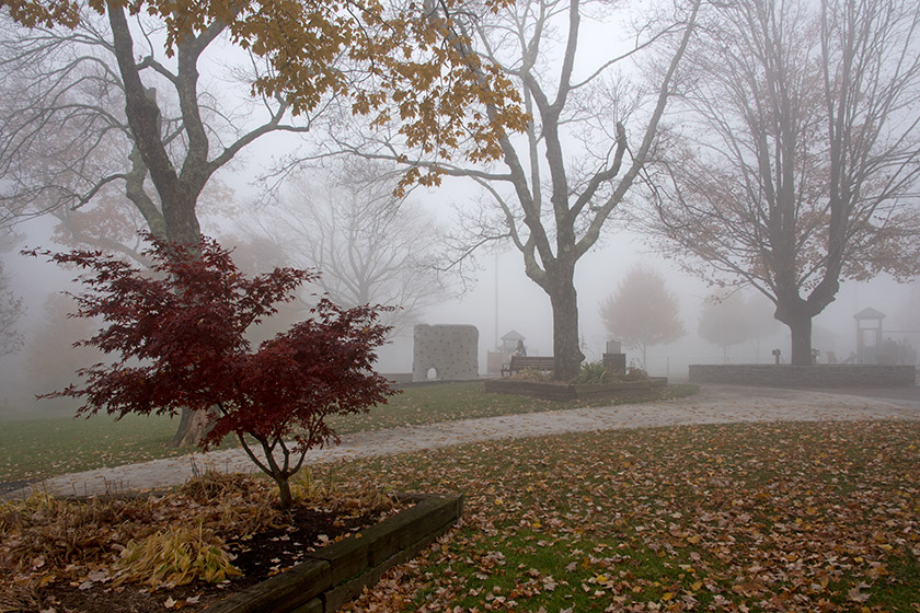 Blowing Rock City Park in the fog