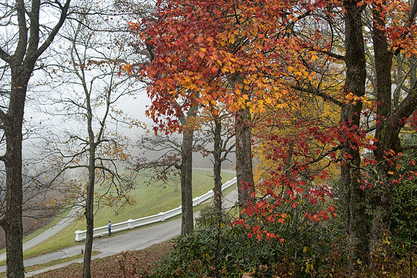 Arriving at the Moses H. Cone Memorial Park