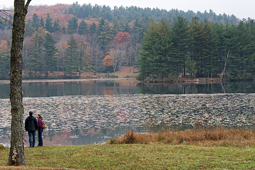 We have arrived at the lake