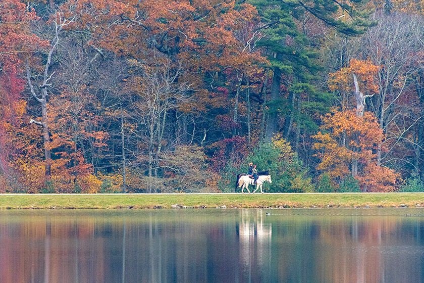 Horseback riding is allowed on most trails