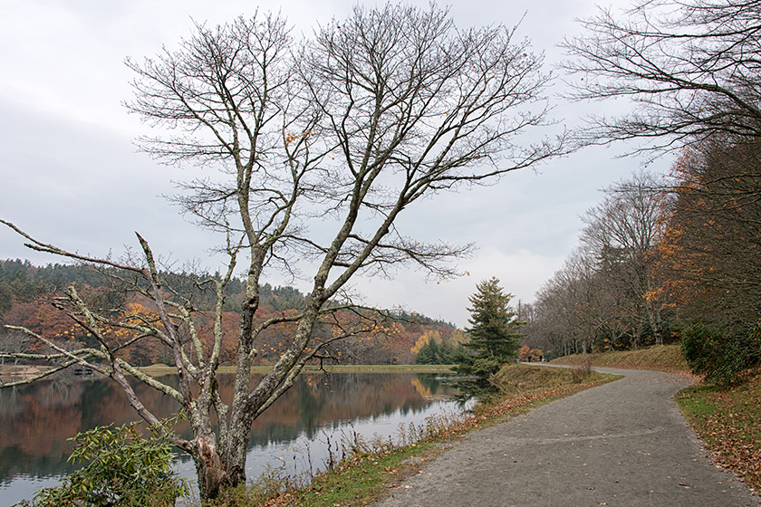 The walk around the lake is just under one mile