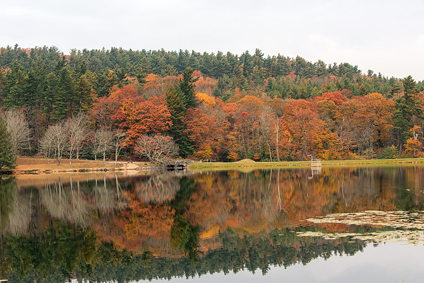 Even on this overcast day the fall colors are lovely