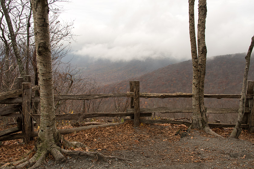 After climbing for one mile, we reached an observation point