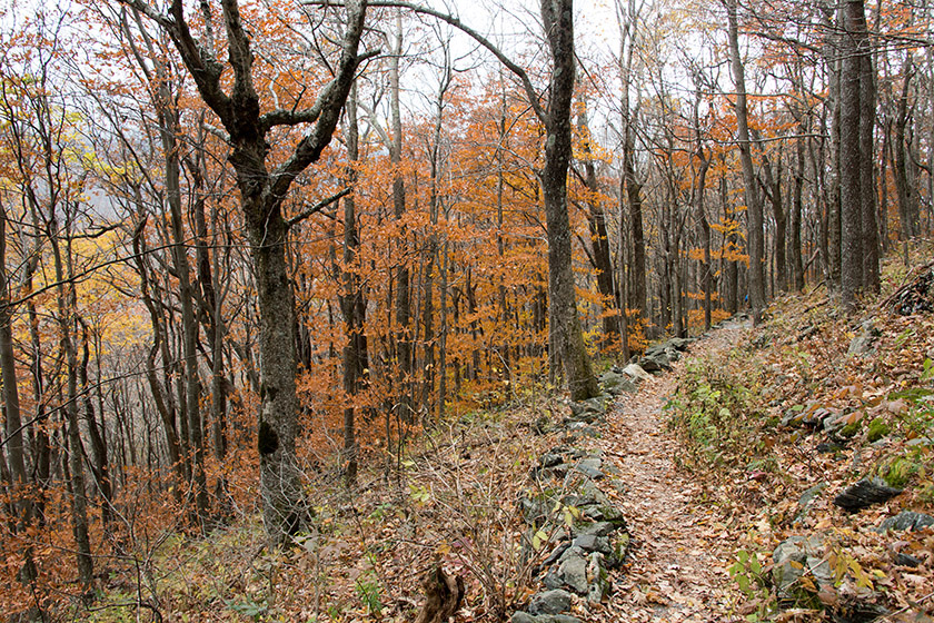 The trails are very nicely maintained