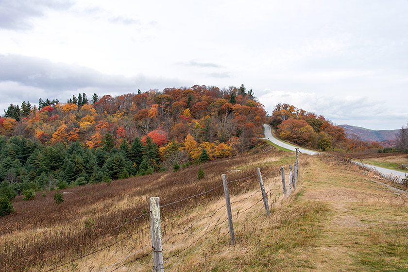 The Blue Ridge Parkway