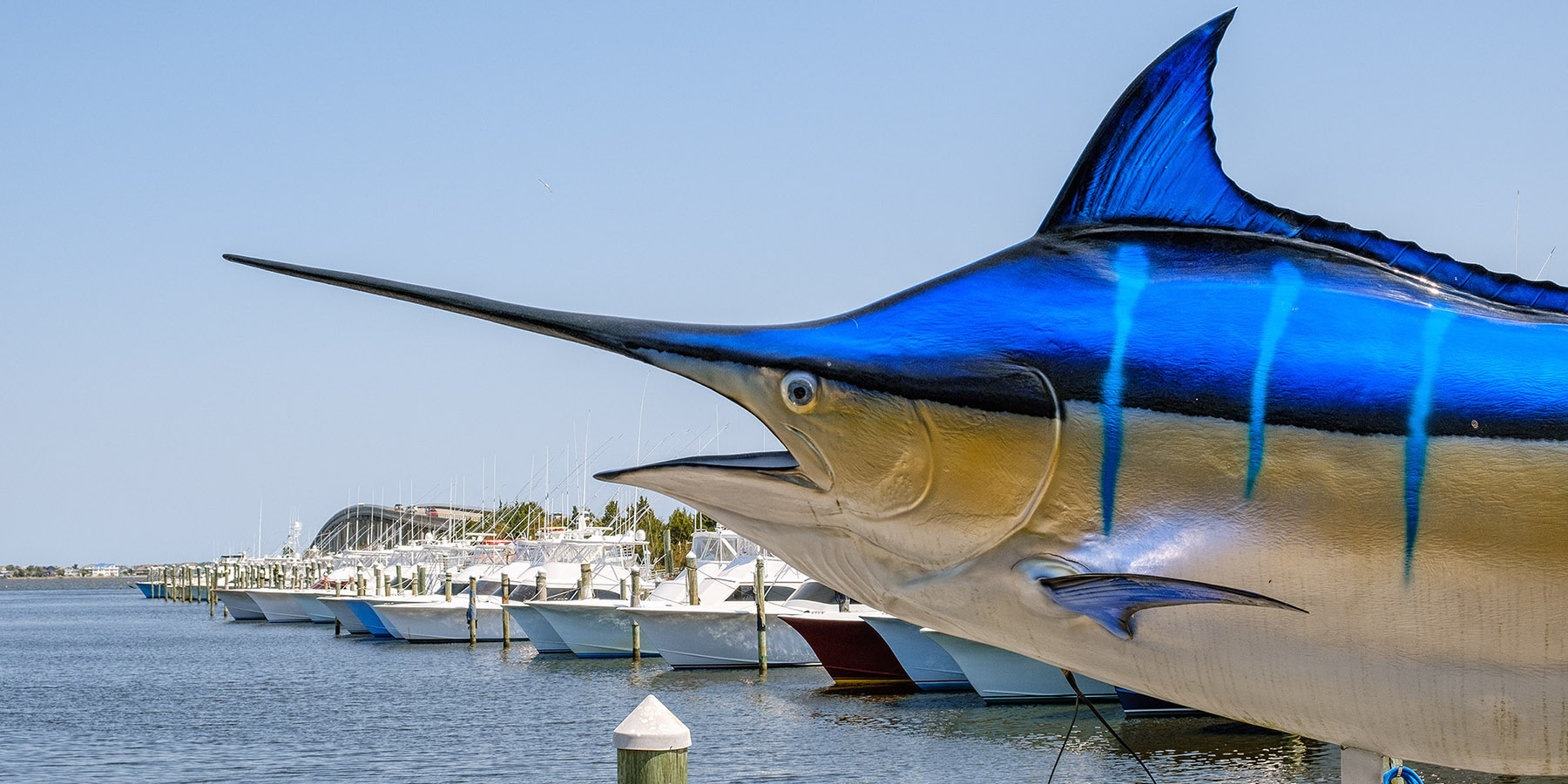 Looking from the Blue Water Grill across Pirate's Cove Marina to the Washington Baum Bridge