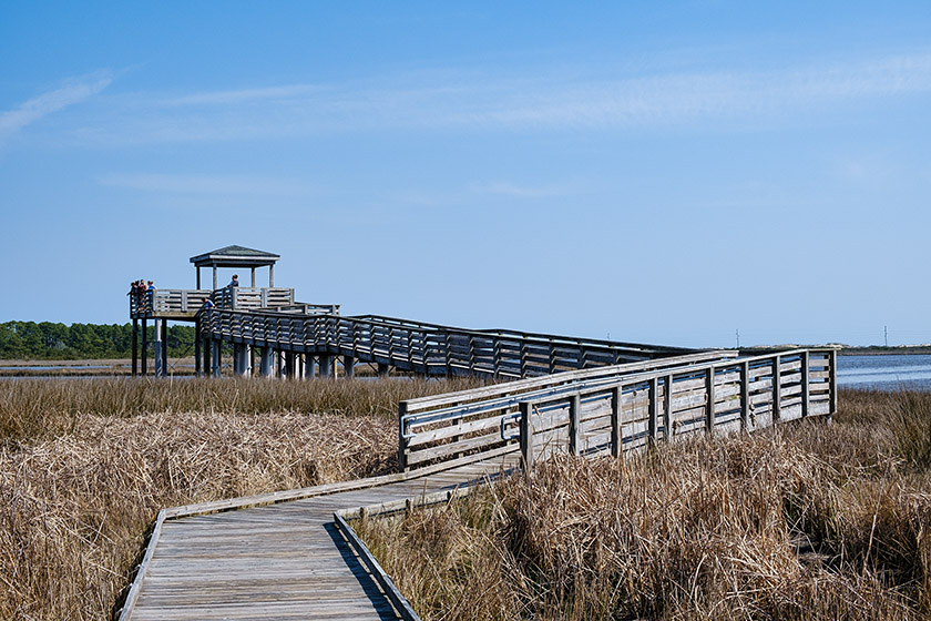 A wooden walkway leads to a platform that provides the best view...