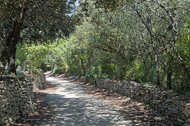 A lovely walk in the shade