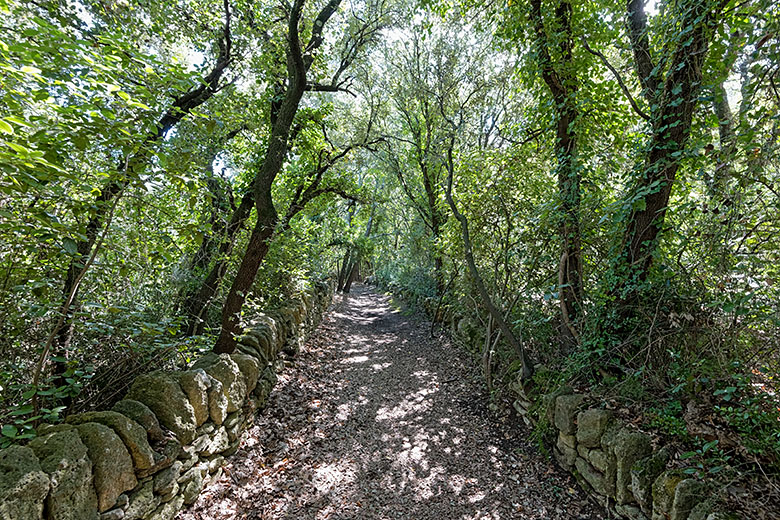 Exiting the 'Mémoires de Garrigue'