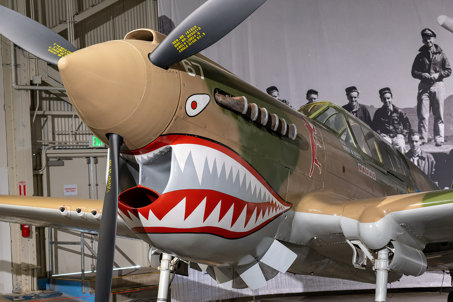 A shark-mouthed Curtiss P-40 Warhawk flown by the volunteer group 'Flying Tigers'