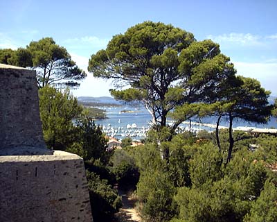 View from the castle