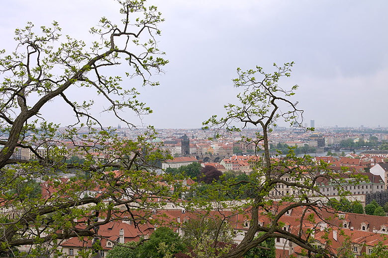 The view from the castle