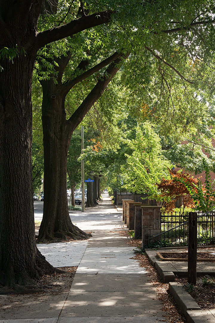 On Ellwood Avenue