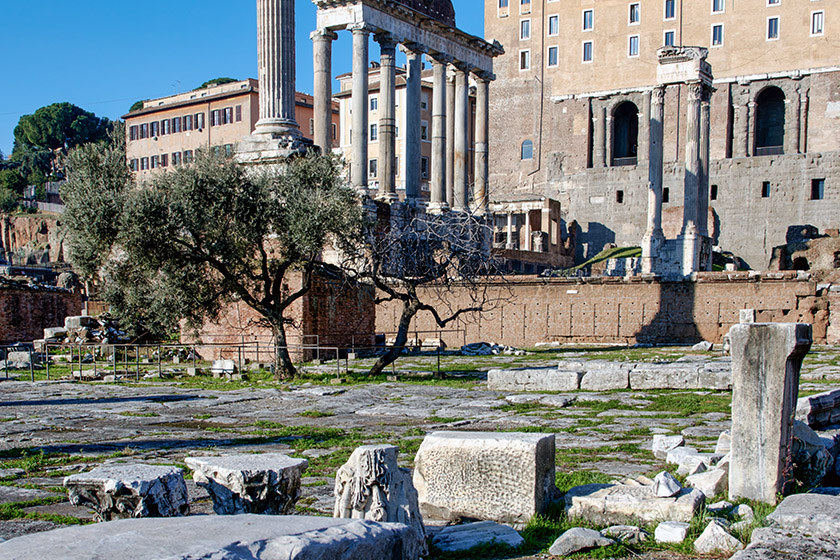 Forum View